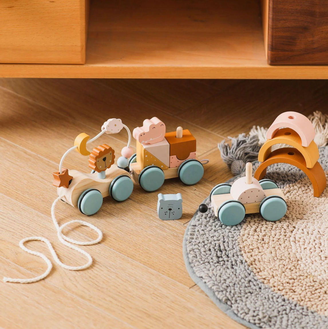Tren de Formas de Madera para Encajar y Aprender