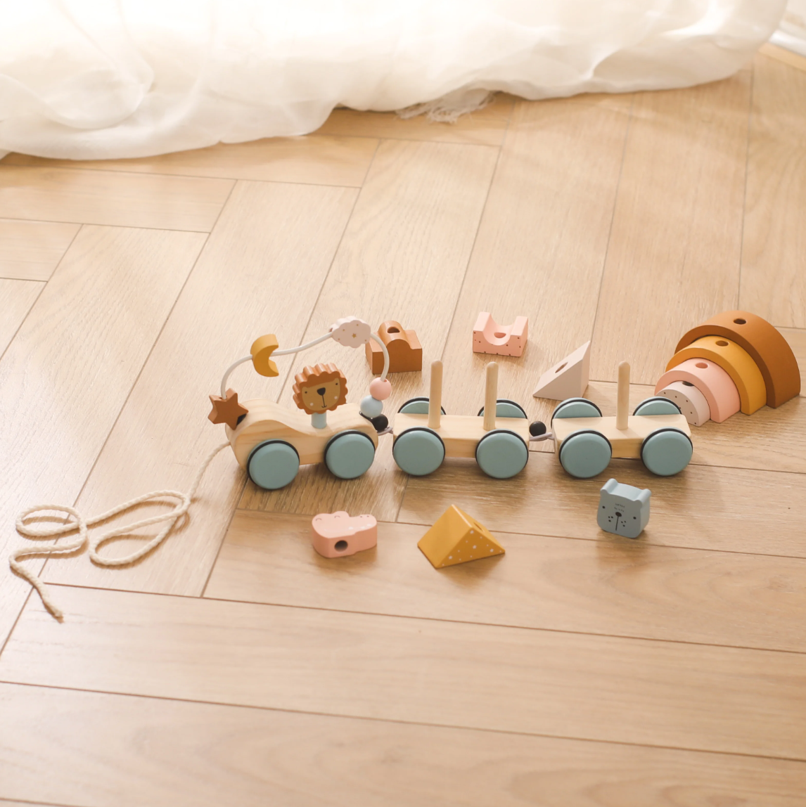 Tren de Formas de Madera para Encajar y Aprender