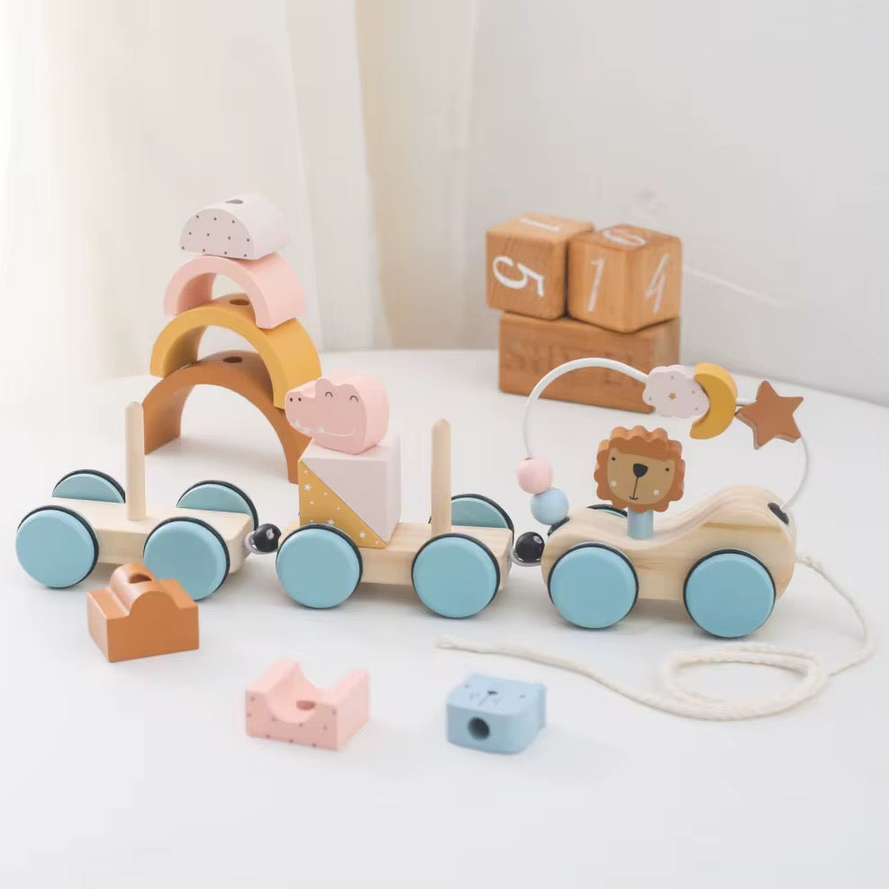 Tren de Formas de Madera para Encajar y Aprender